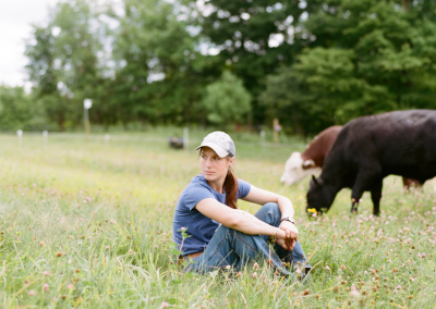 Amber with cows