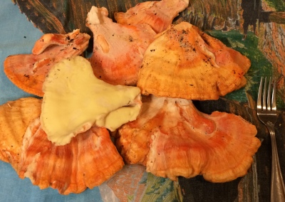 Chicken Mushrooms